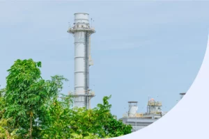 ¿Cómo reducir la huella de carbono en tus campañas publicitarias?