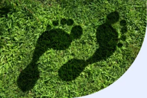 Traffic Shaping: Reduce Your Media's Advertising Carbon Footprint