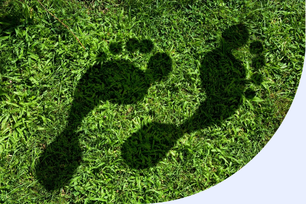 Traffic Shaping: Reduce Your Media's Advertising Carbon Footprint